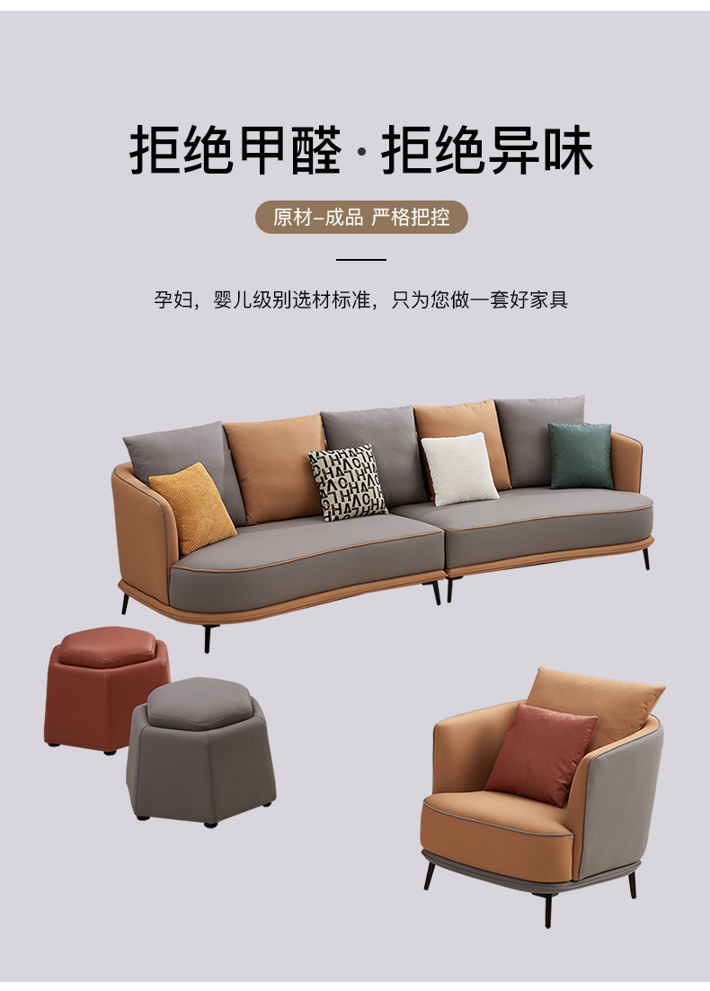 DS1876现代简奢组合沙发